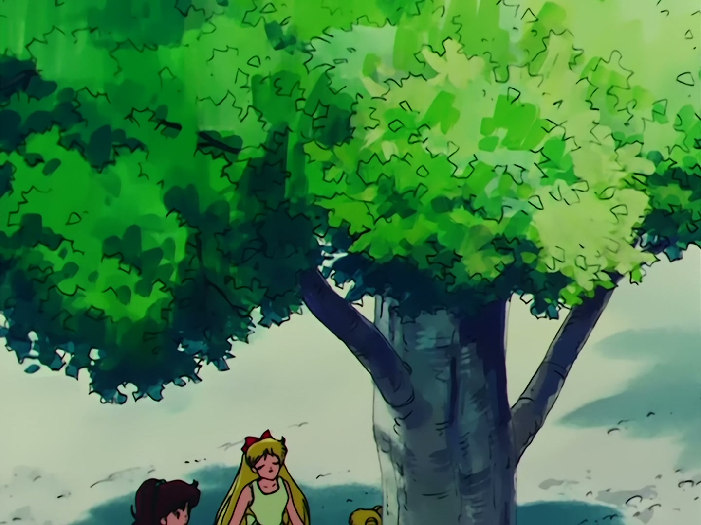 Sailor Moon Ep 67: The Ocean! The Island! A Vacation! A Break for the Guardians @ 00:02:17