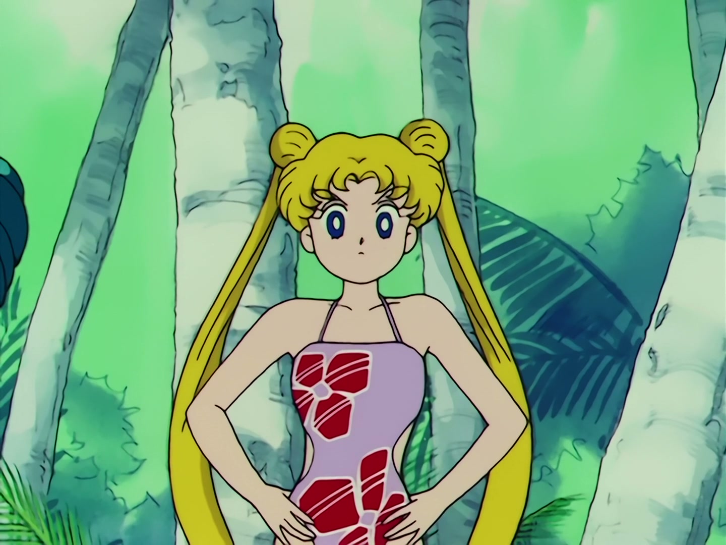 Sailor Moon Ep 67: The Ocean! The Island! A Vacation! A Break for the Guardians @ 00:06:46