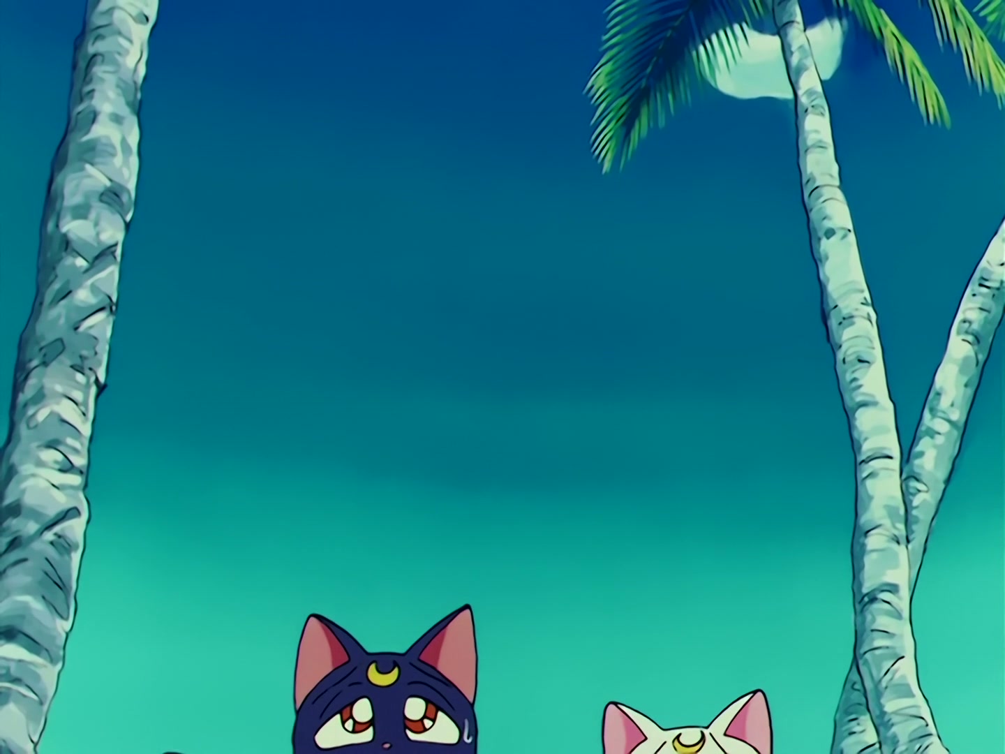 Sailor Moon Ep 67: The Ocean! The Island! A Vacation! A Break for the Guardians @ 00:07:42