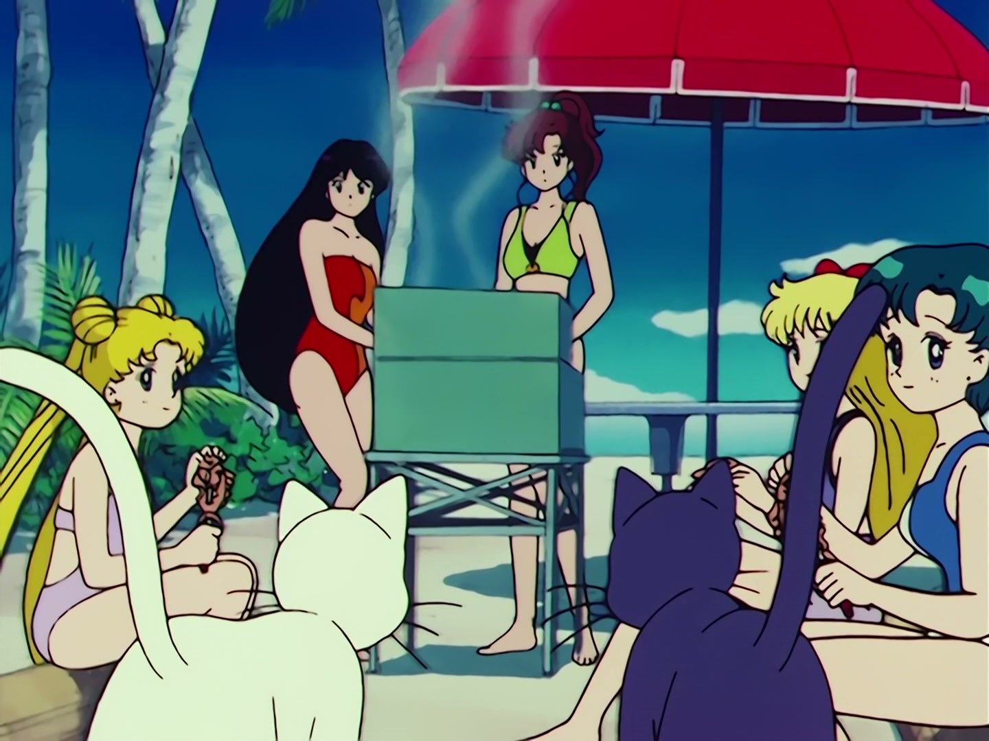 Sailor Moon Ep 67: The Ocean! The Island! A Vacation! A Break for the Guardians @ 00:07:46