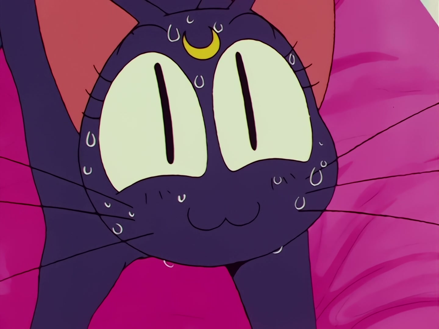 Sailor Moon Ep 68: Protect Chibi-Usa! The Clash of the Ten Warriors @ 00:03:05