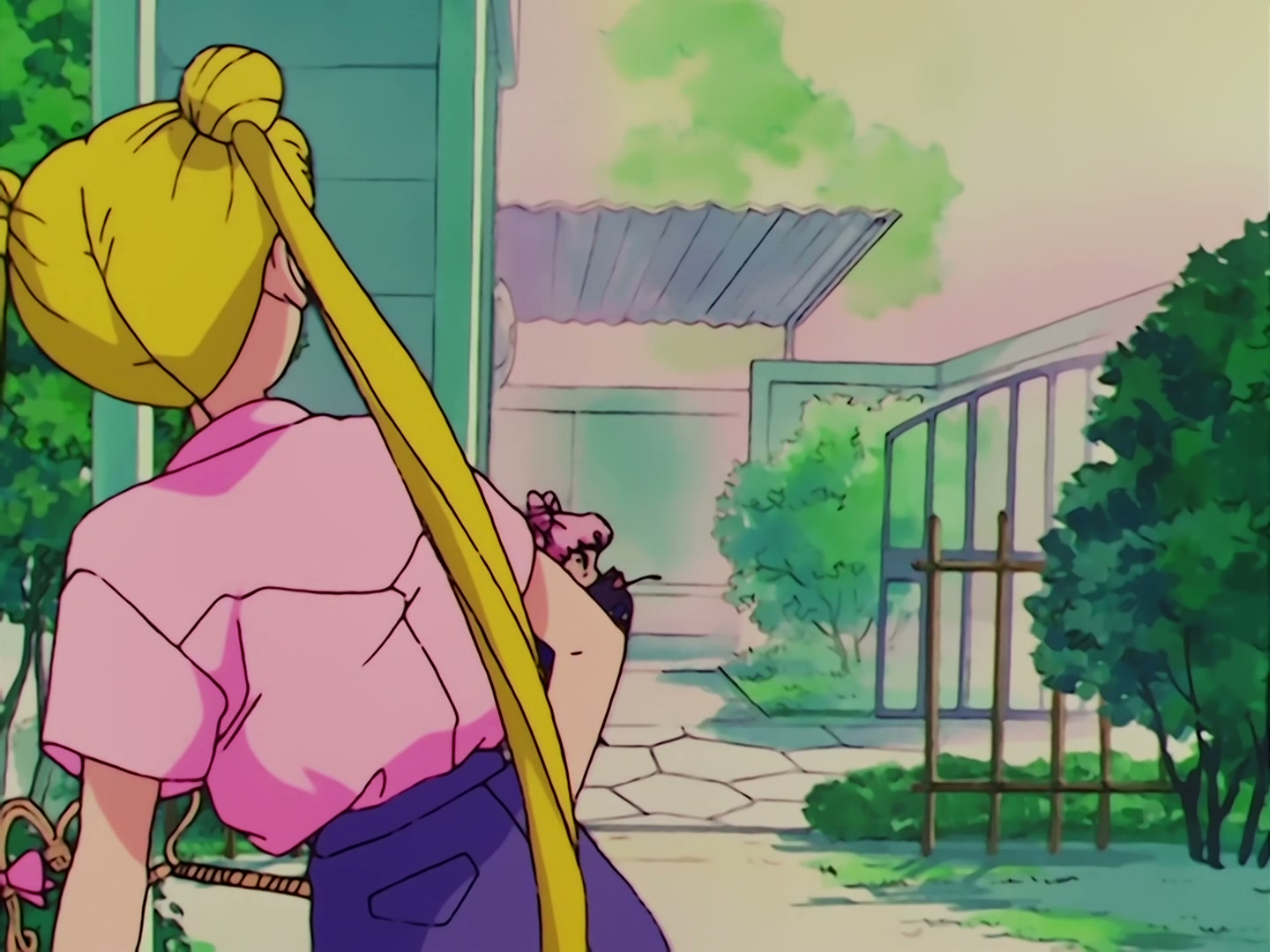 Sailor Moon Ep 68: Protect Chibi-Usa! The Clash of the Ten Warriors @ 00:05:54
