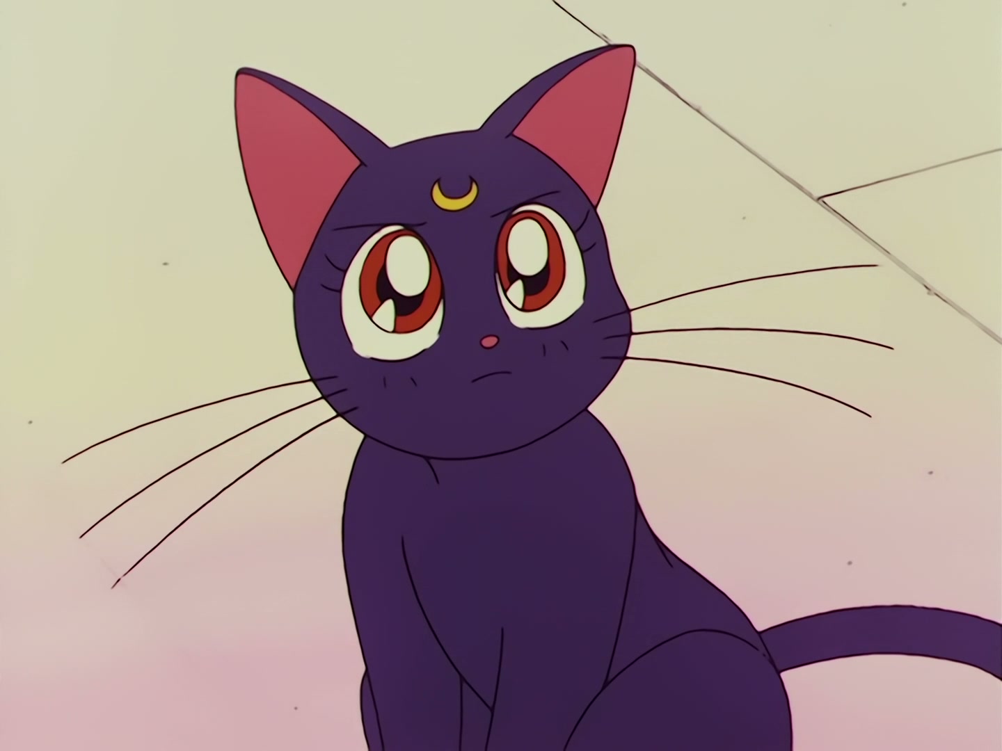 Sailor Moon Ep 68: Protect Chibi-Usa! The Clash of the Ten Warriors @ 00:06:33