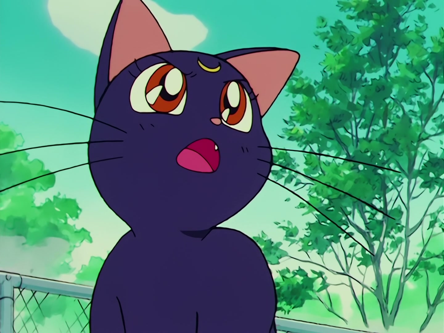 Sailor Moon Ep 68: Protect Chibi-Usa! The Clash of the Ten Warriors @ 00:06:46