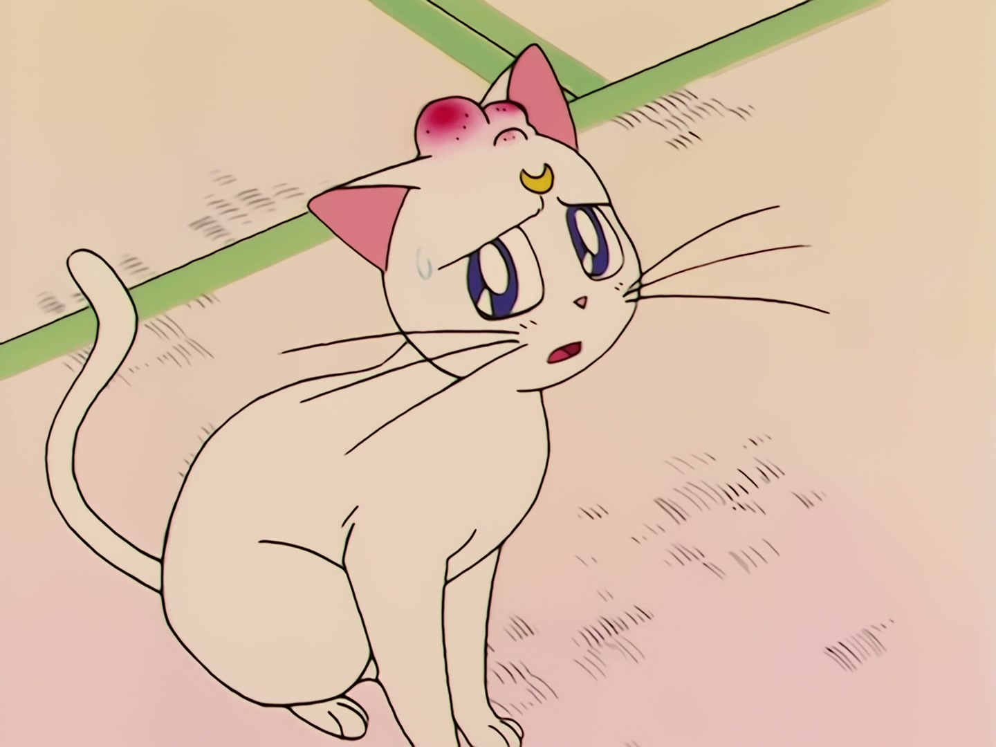 Sailor Moon Ep 78: Venus Minako's Nurse Mayhem @ 00:03:39