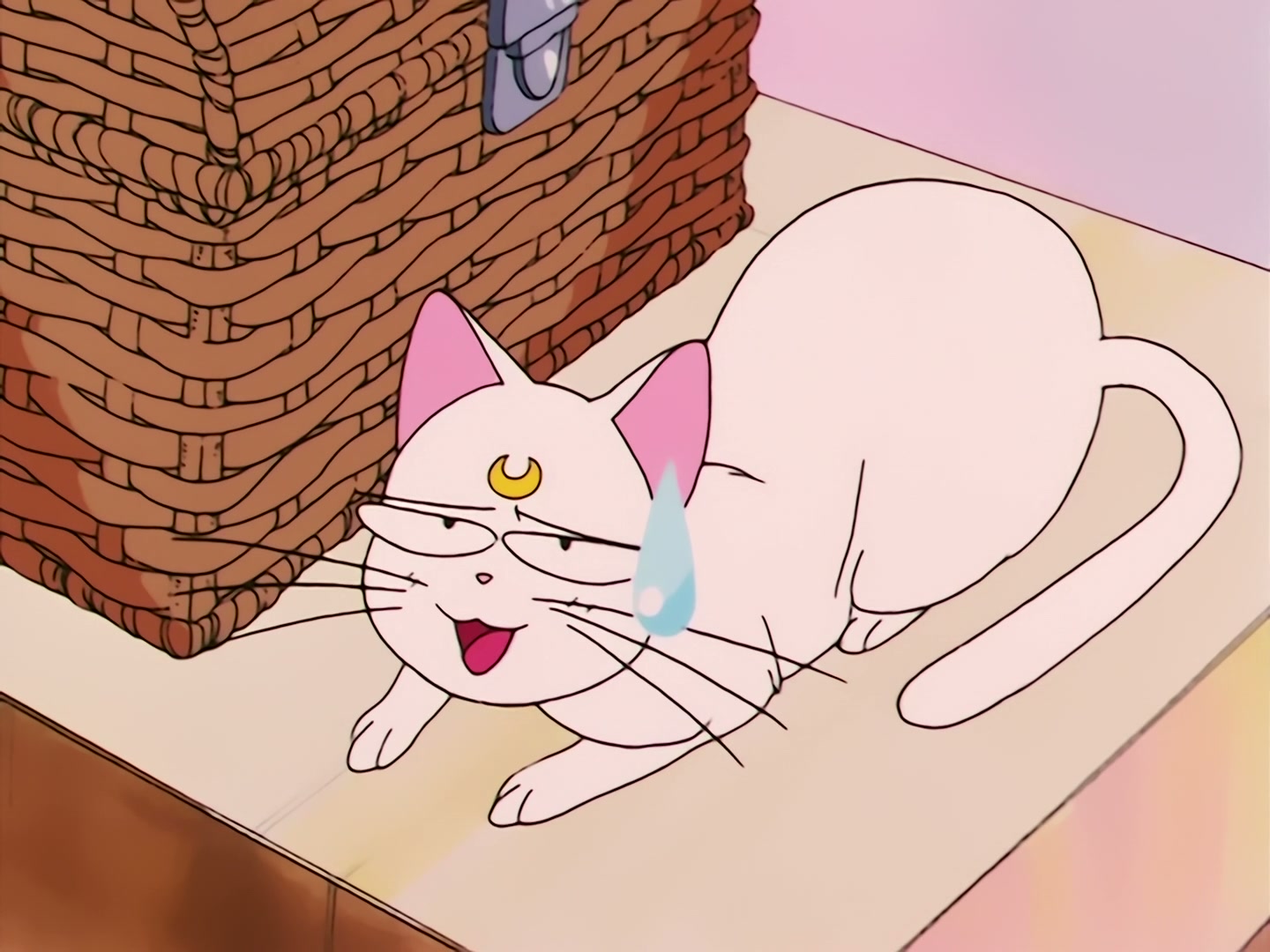 Sailor Moon Ep 78: Venus Minako's Nurse Mayhem @ 00:08:38