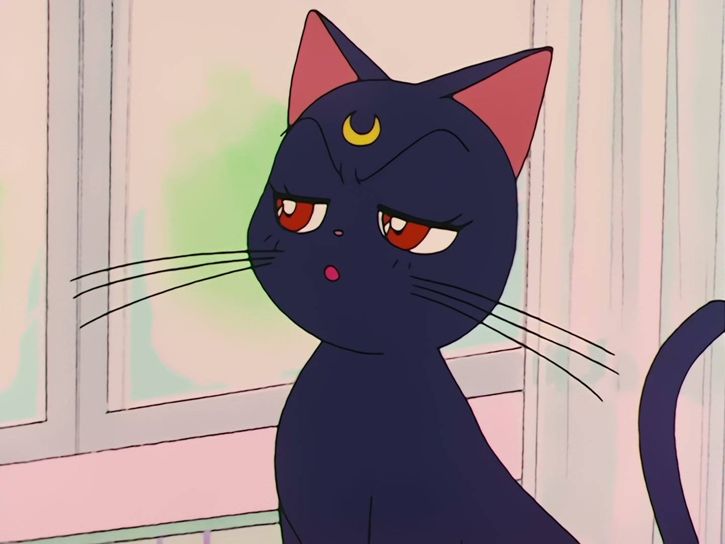 Sailor Moon Ep 79: Artemis' Adventure! The Monster Animal Kingdom @ 00:02:30