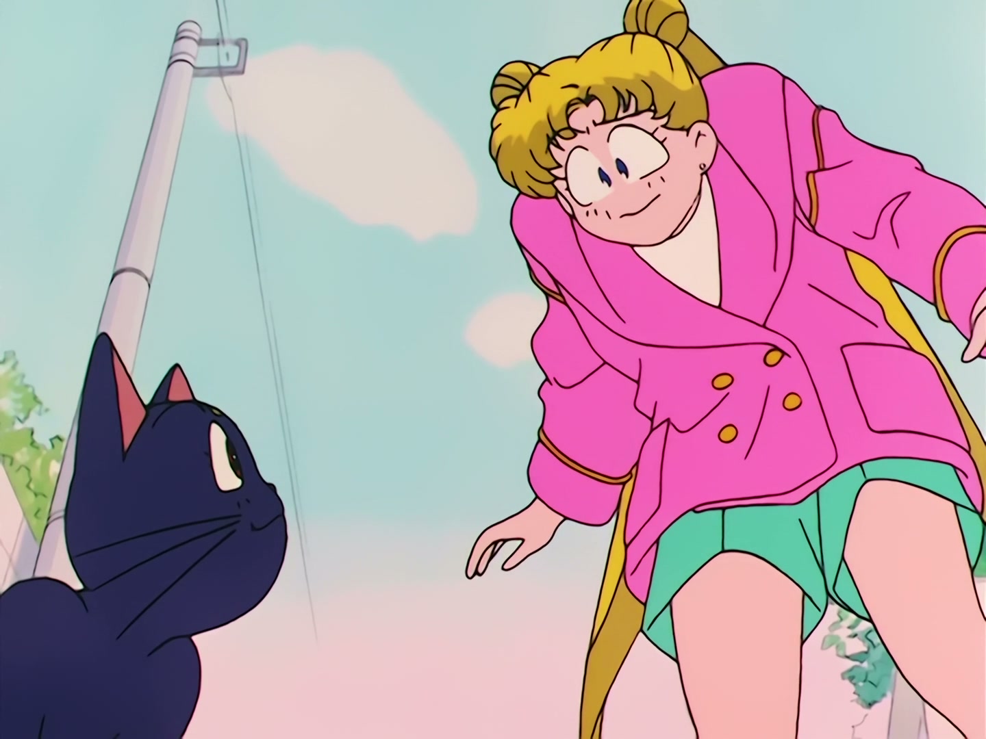 Sailor Moon Ep 79: Artemis' Adventure! The Monster Animal Kingdom @ 00:05:02