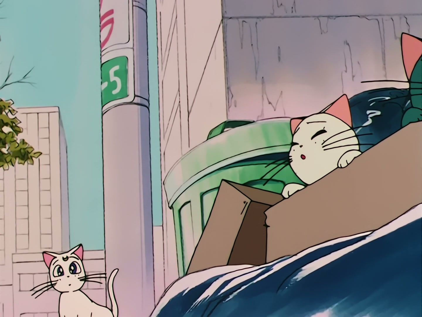 Sailor Moon Ep 79: Artemis' Adventure! The Monster Animal Kingdom @ 00:05:23