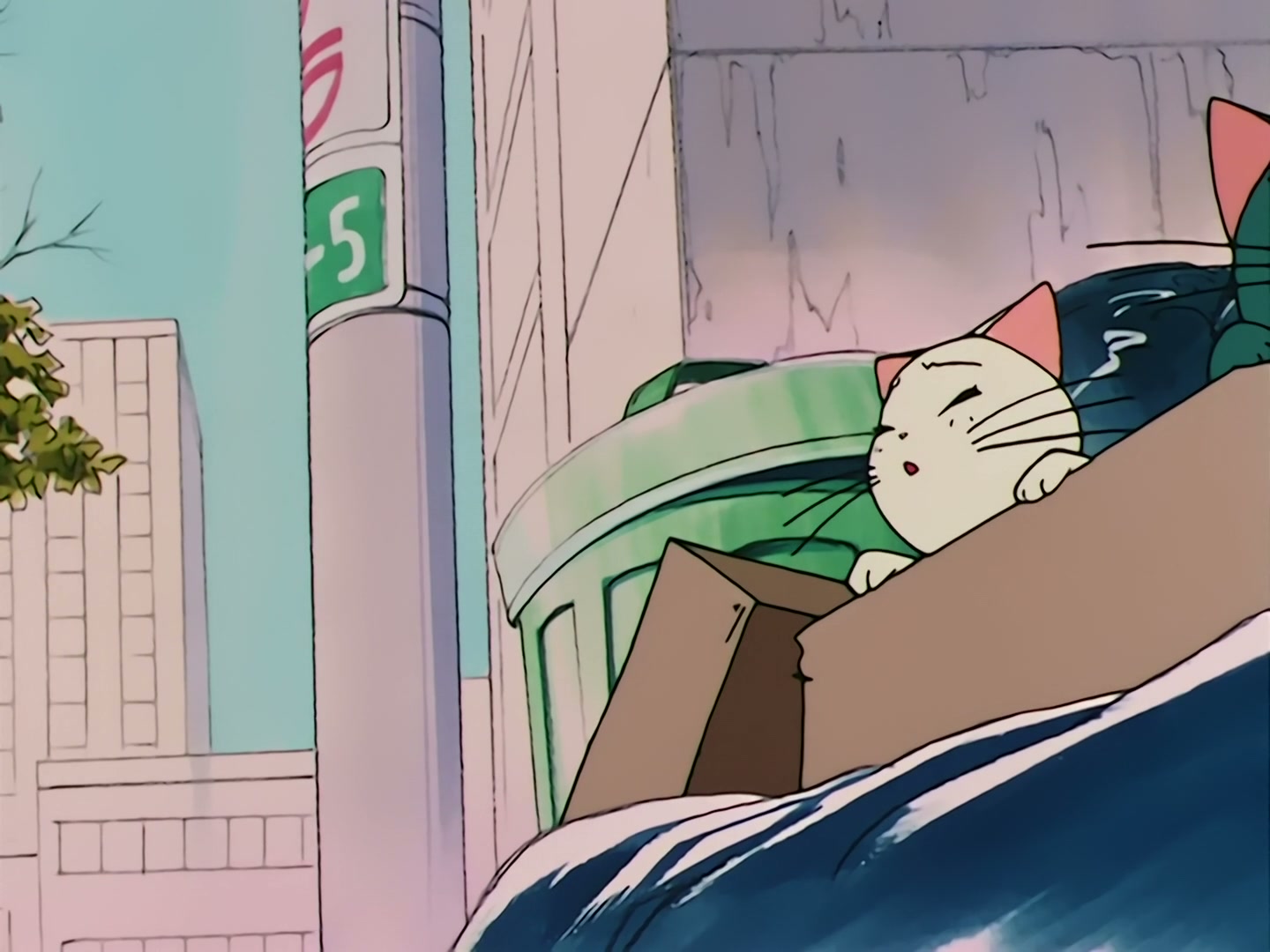 Sailor Moon Ep 79: Artemis' Adventure! The Monster Animal Kingdom @ 00:05:28