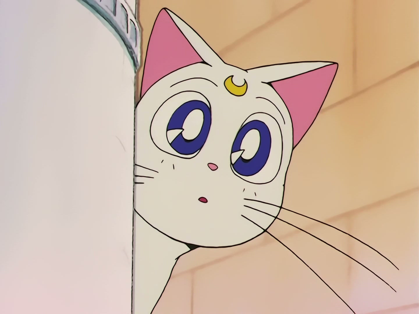 Sailor Moon Ep 79: Artemis' Adventure! The Monster Animal Kingdom @ 00:05:41