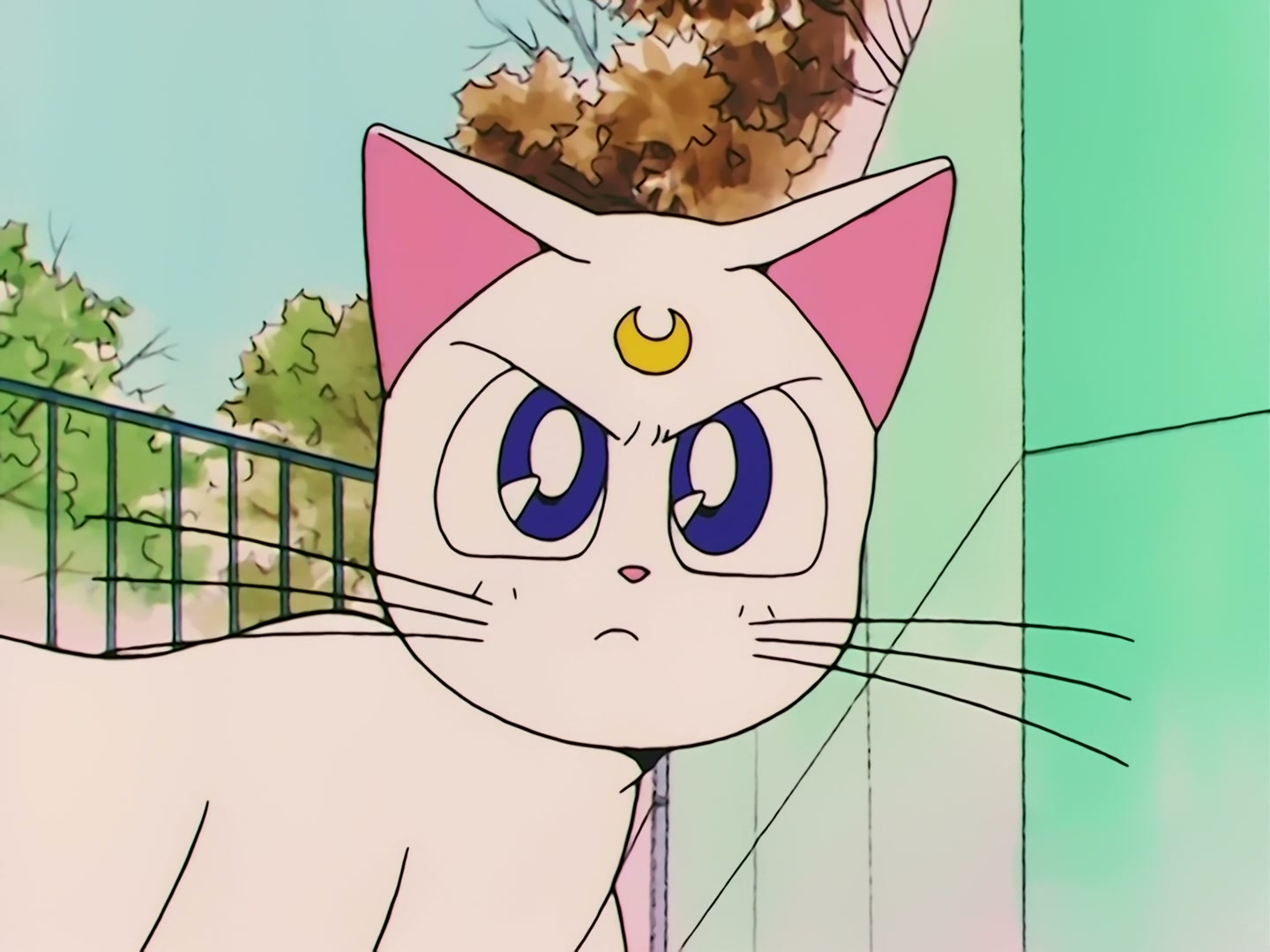 Sailor Moon Ep 79: Artemis' Adventure! The Monster Animal Kingdom @ 00:05:58