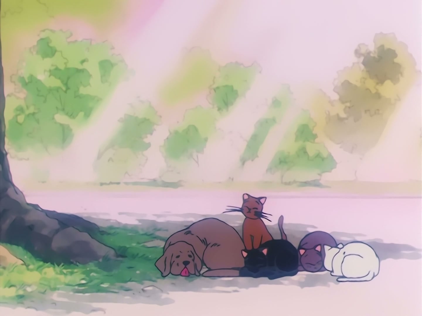 Sailor Moon Ep 79: Artemis' Adventure! The Monster Animal Kingdom @ 00:07:29