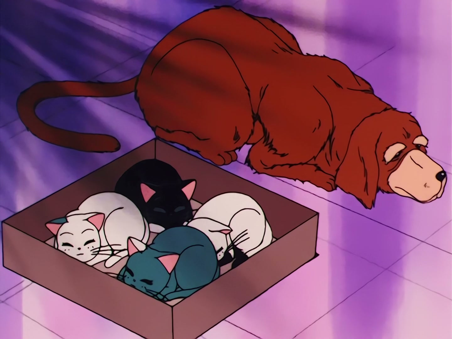 Sailor Moon Ep 79: Artemis' Adventure! The Monster Animal Kingdom @ 00:08:34