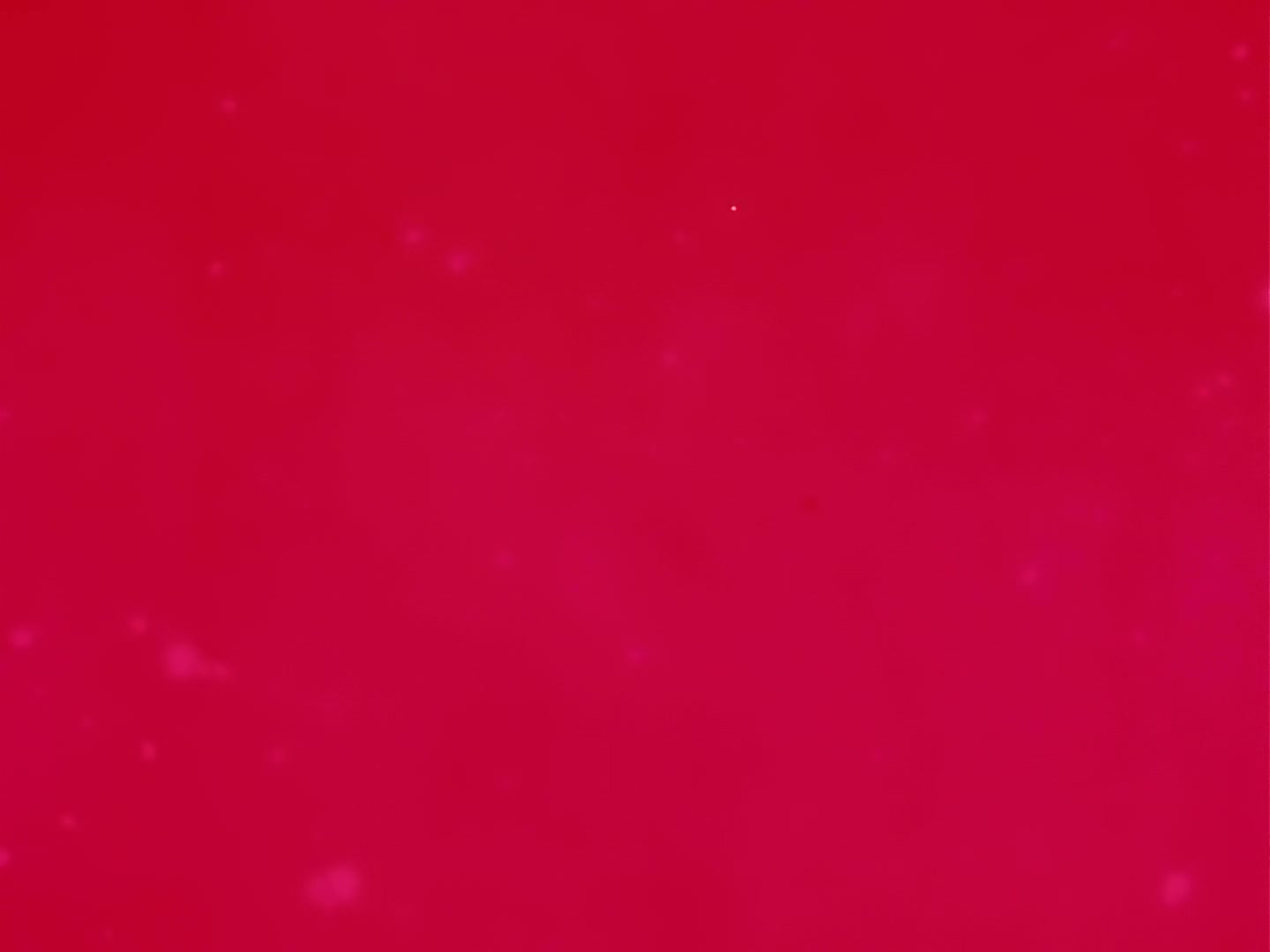 Sailor Moon Ep 90: Premonition of World's End? The Appearance of Mysterious New Guardians @ 00:04:57