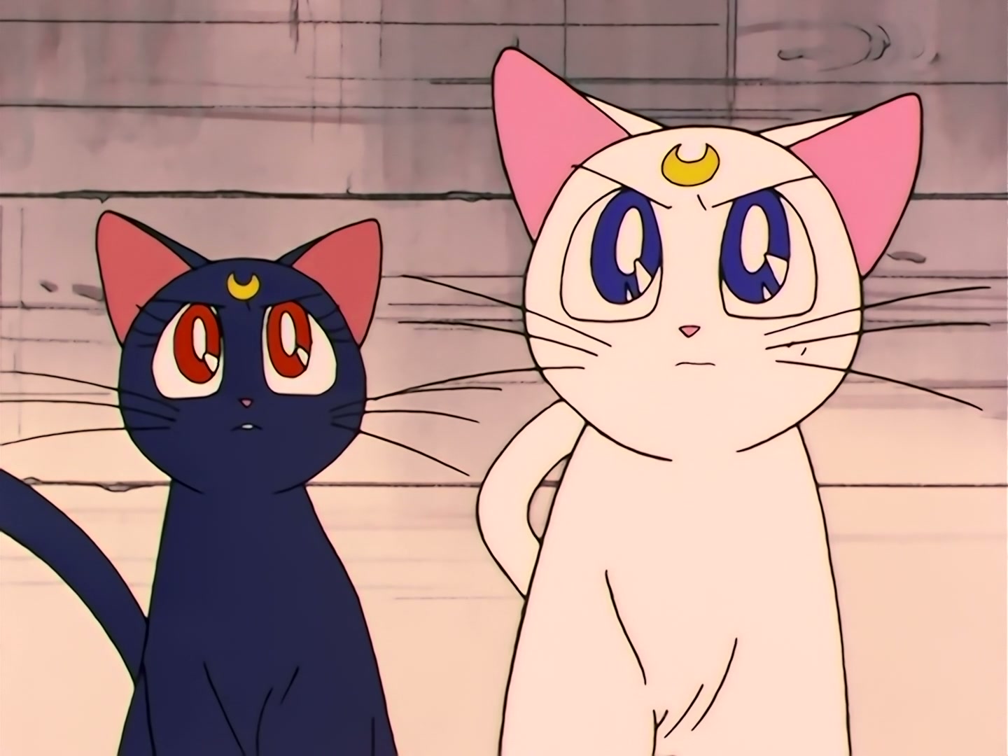 Sailor Moon Ep 90: Premonition of World's End? The Appearance of Mysterious New Guardians @ 00:21:30