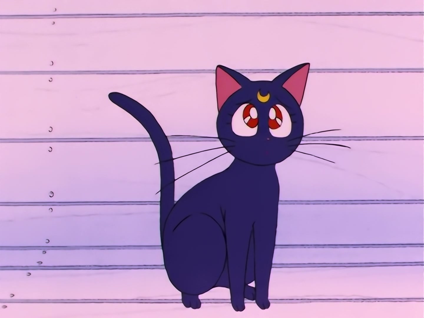 Sailor Moon Ep 93: Usagi's Idol! The Graceful Genius Michiru @ 00:06:02