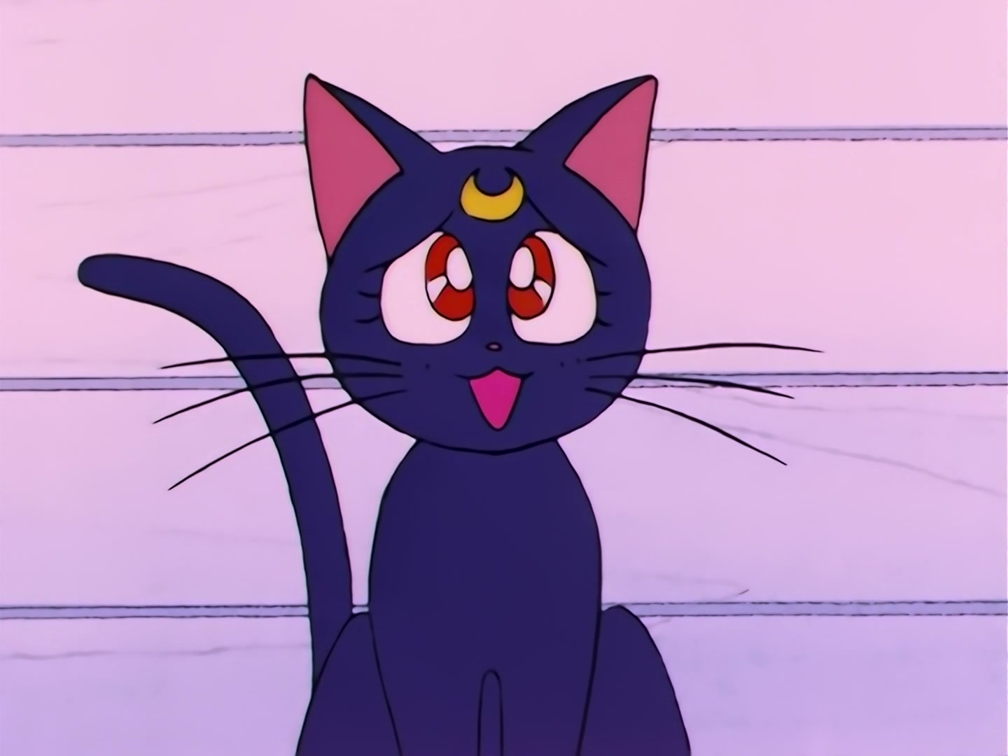Sailor Moon Ep 93: Usagi's Idol! The Graceful Genius Michiru @ 00:06:11