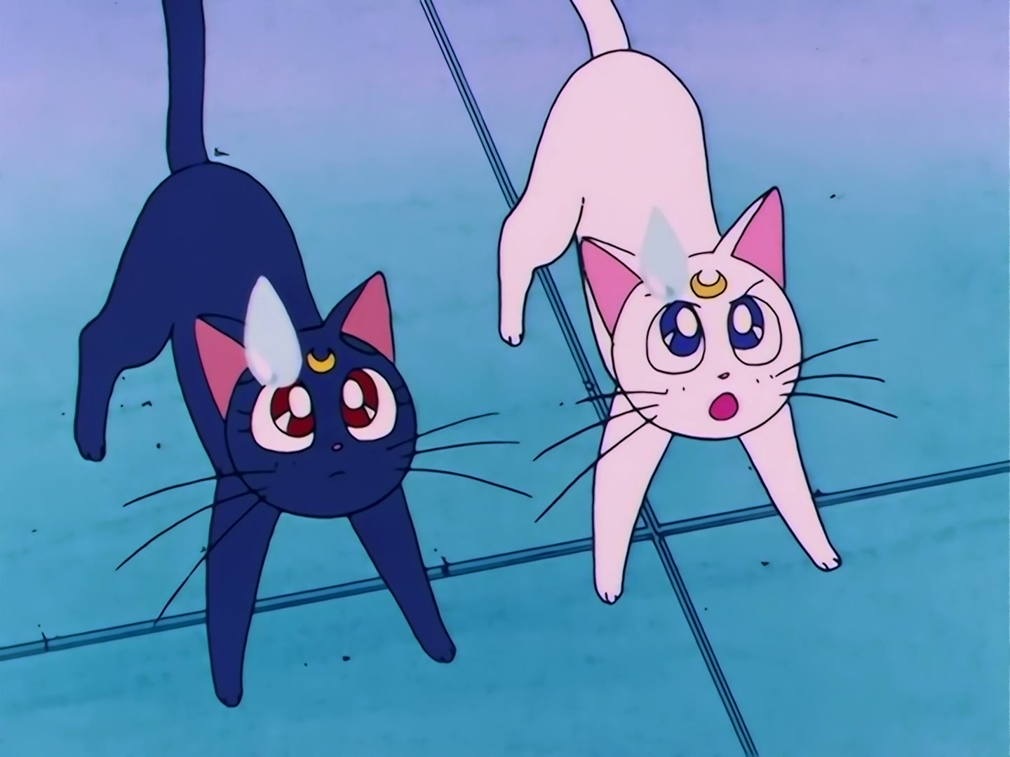 Sailor Moon Ep 93: Usagi's Idol! The Graceful Genius Michiru @ 00:21:38