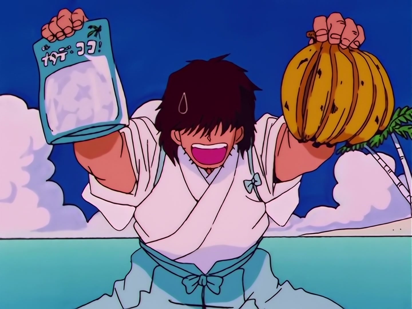Sailor Moon Ep 99: A Man's Kindness: Yuichiro, Heartbroken by Rei? @ 00:04:01