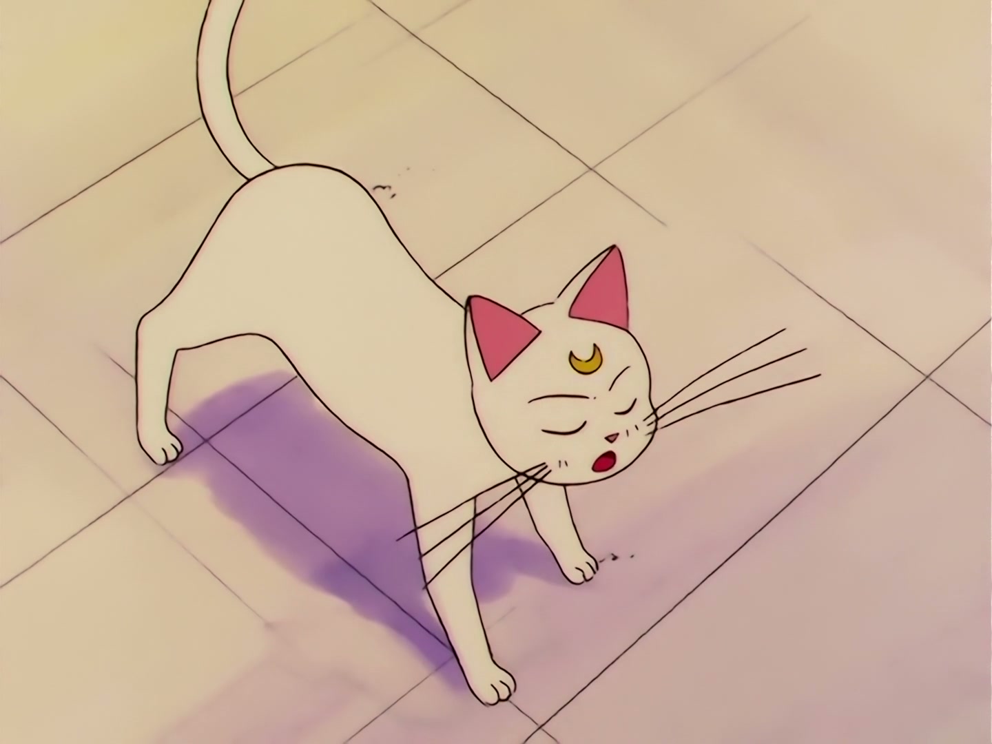 Sailor Moon Ep 100: I Want to Quit Being a Sailor Guardian: Minako's Dilemma @ 00:03:31