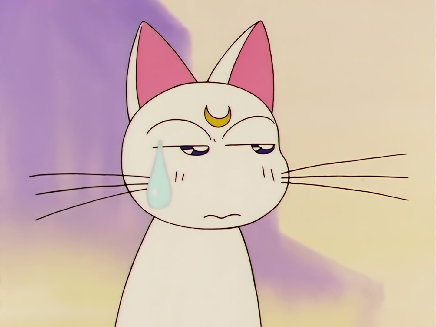 Sailor Moon Ep 100: I Want to Quit Being a Sailor Guardian: Minako's Dilemma @ 00:03:44