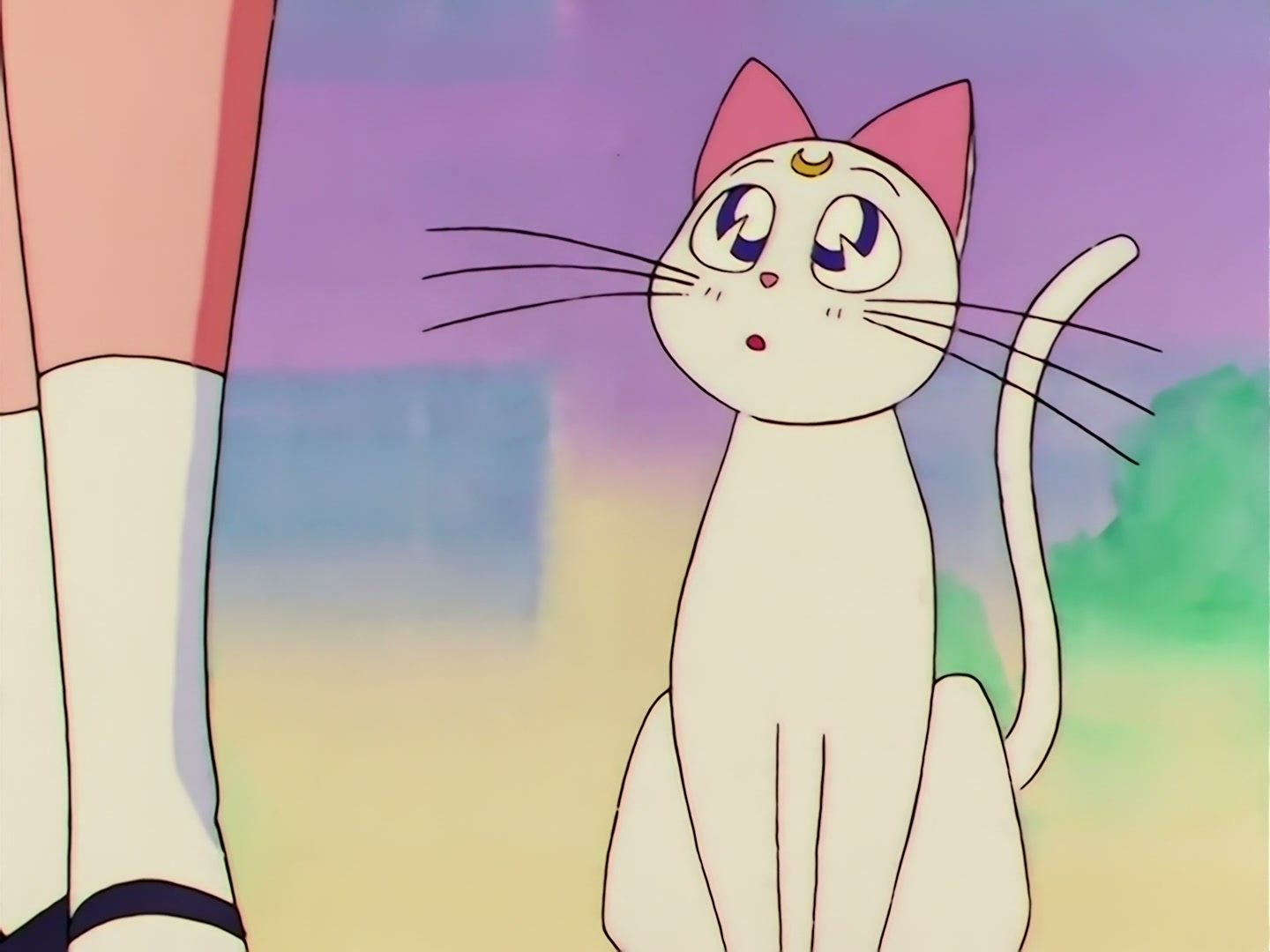 Sailor Moon Ep 100: I Want to Quit Being a Sailor Guardian: Minako's Dilemma @ 00:05:10
