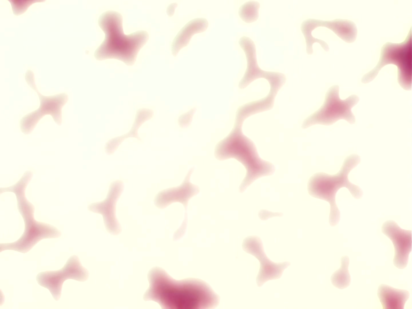 Sailor Moon Ep 100: I Want to Quit Being a Sailor Guardian: Minako's Dilemma @ 00:05:54