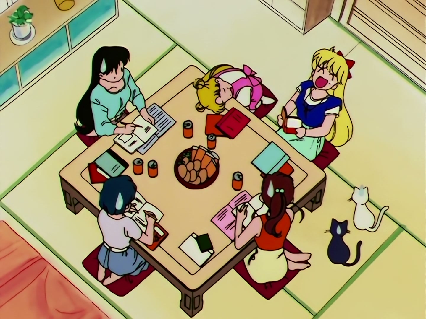Sailor Moon Ep 100: I Want to Quit Being a Sailor Guardian: Minako's Dilemma @ 00:09:17