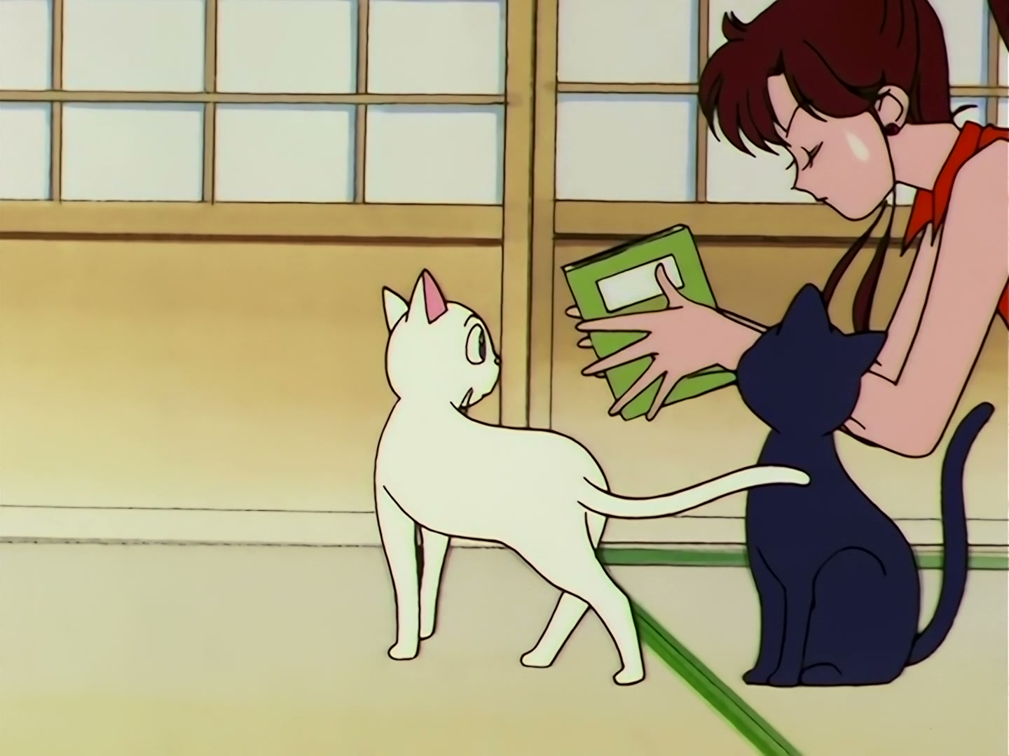 Sailor Moon Ep 100: I Want to Quit Being a Sailor Guardian: Minako's Dilemma @ 00:10:57