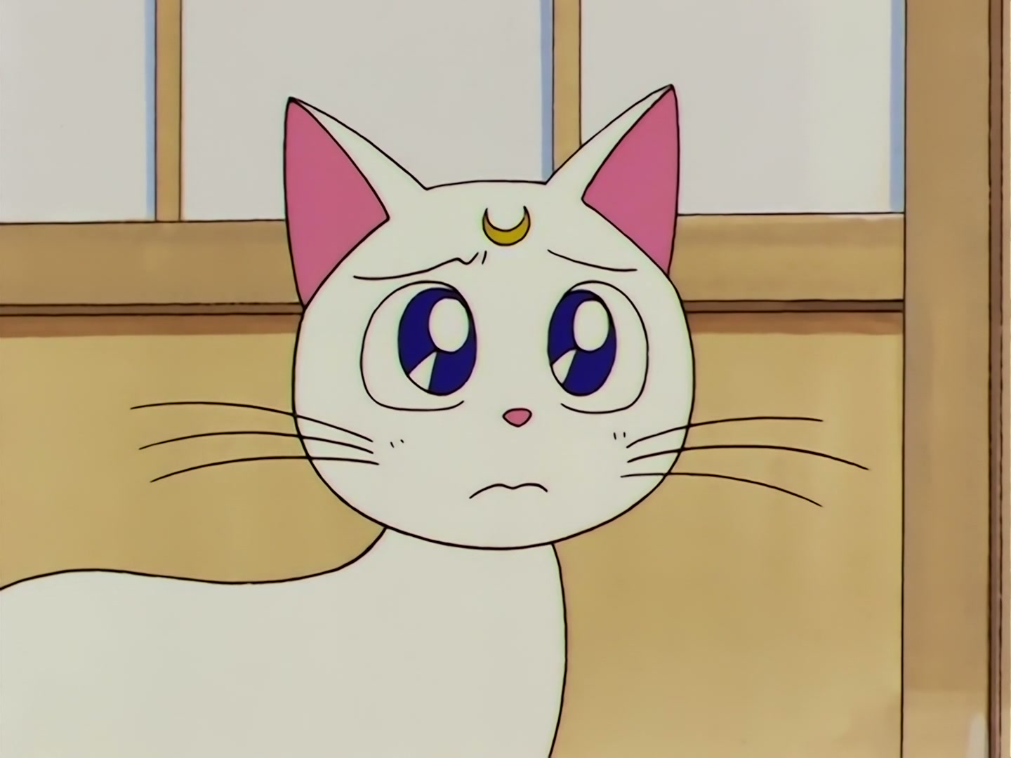 Sailor Moon Ep 100: I Want to Quit Being a Sailor Guardian: Minako's Dilemma @ 00:11:10