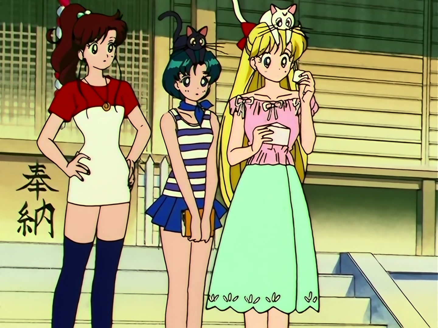 Sailor Moon Ep 104: Making New Friends: Chibi Moon's Adventure @ 00:04:05