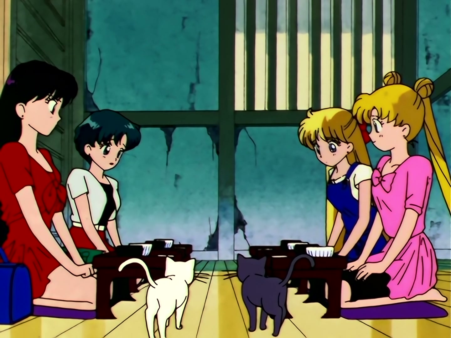 Sailor Moon Ep 105: I Want Power: Mako Lost in Doubt @ 00:12:54