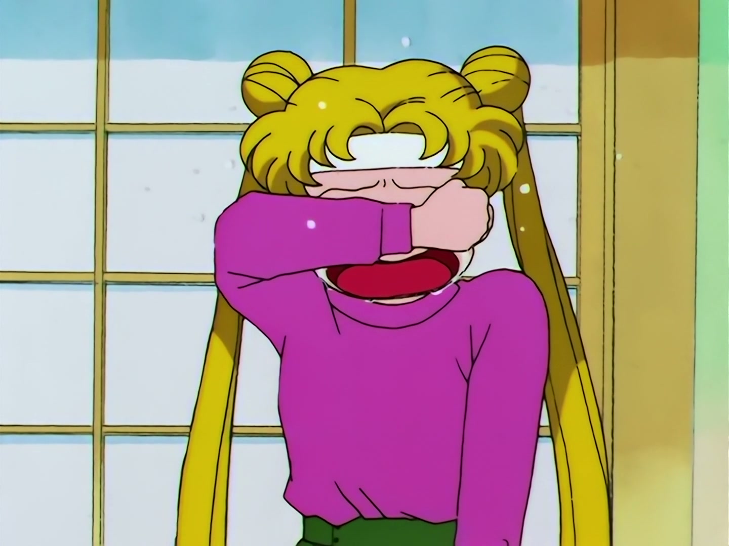 Sailor Moon Ep 109: The Shocking Moment: Everyone's Identities Revealed @ 00:03:48