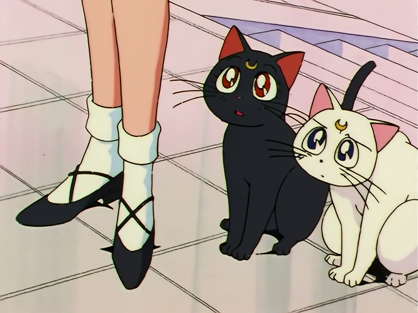 Sailor Moon Ep 109: The Shocking Moment: Everyone's Identities Revealed @ 00:06:46