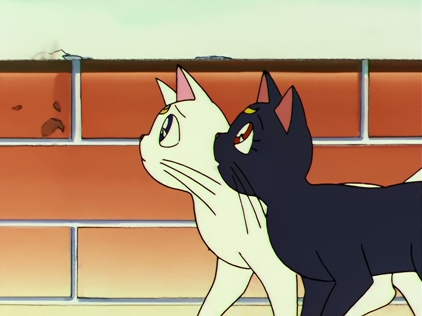 Sailor Moon Ep 109: The Shocking Moment: Everyone's Identities Revealed @ 00:07:38