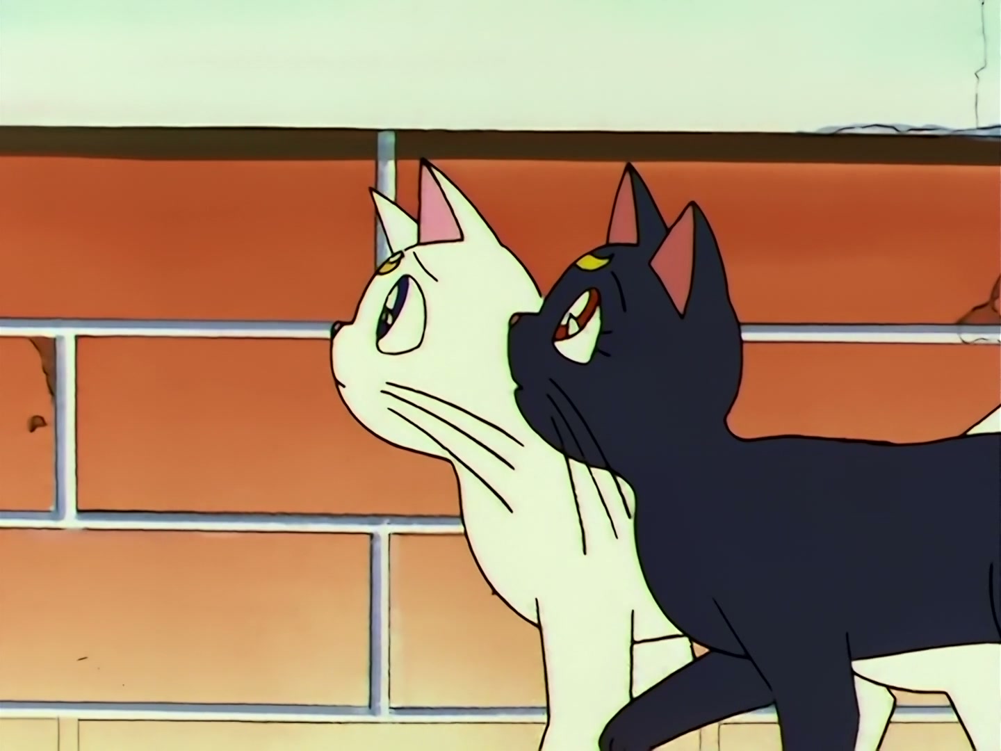 Sailor Moon Ep 109: The Shocking Moment: Everyone's Identities Revealed @ 00:07:42