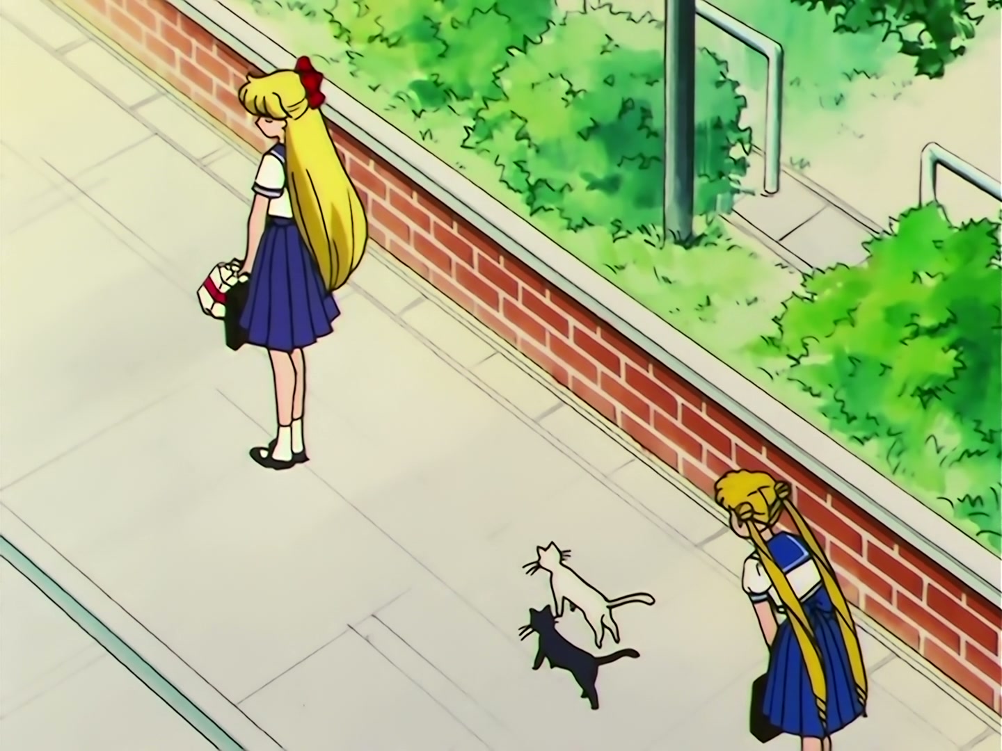 Sailor Moon Ep 109: The Shocking Moment: Everyone's Identities Revealed @ 00:08:08