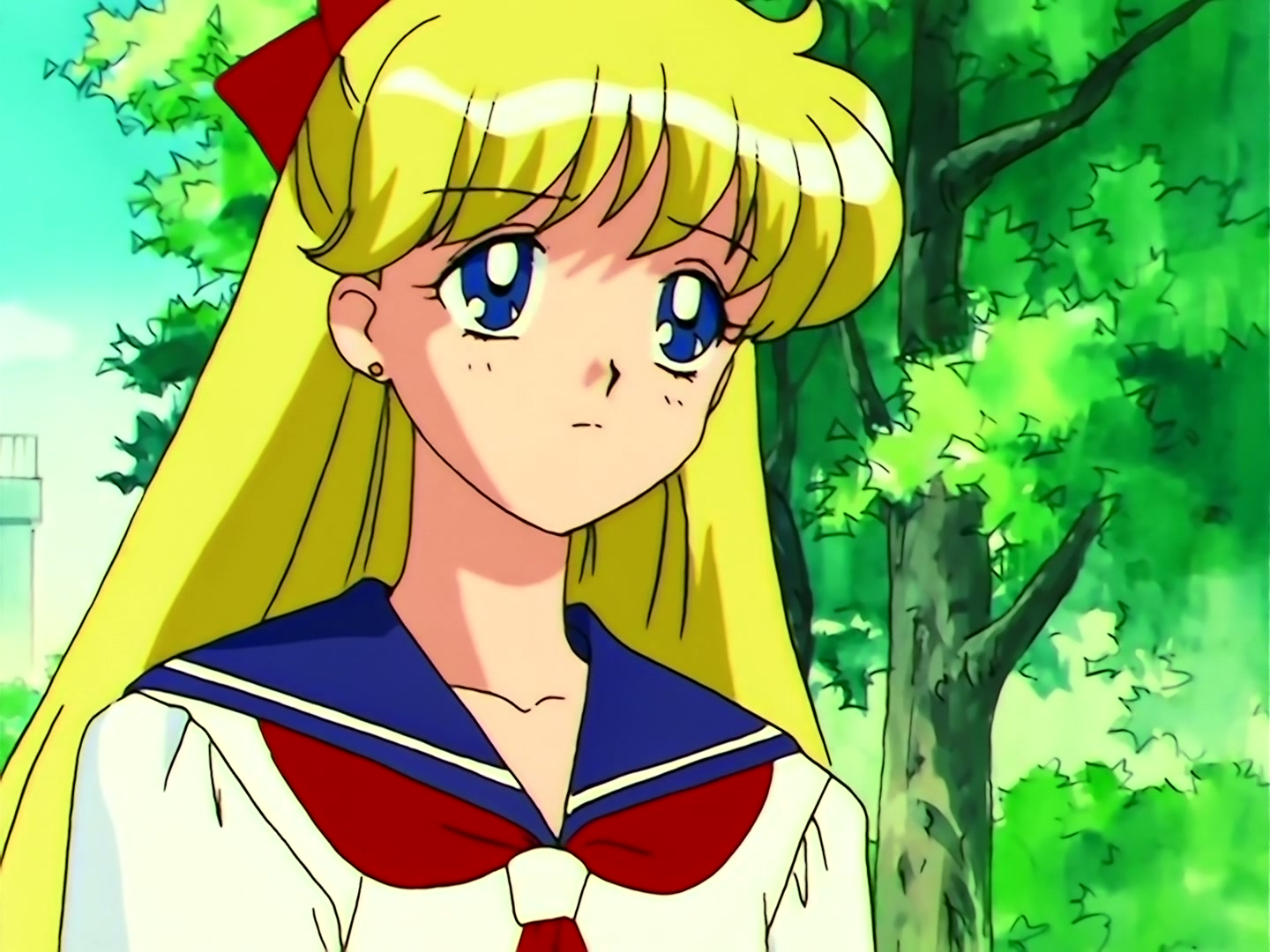 Sailor Moon Ep 109: The Shocking Moment: Everyone's Identities Revealed @ 00:08:12