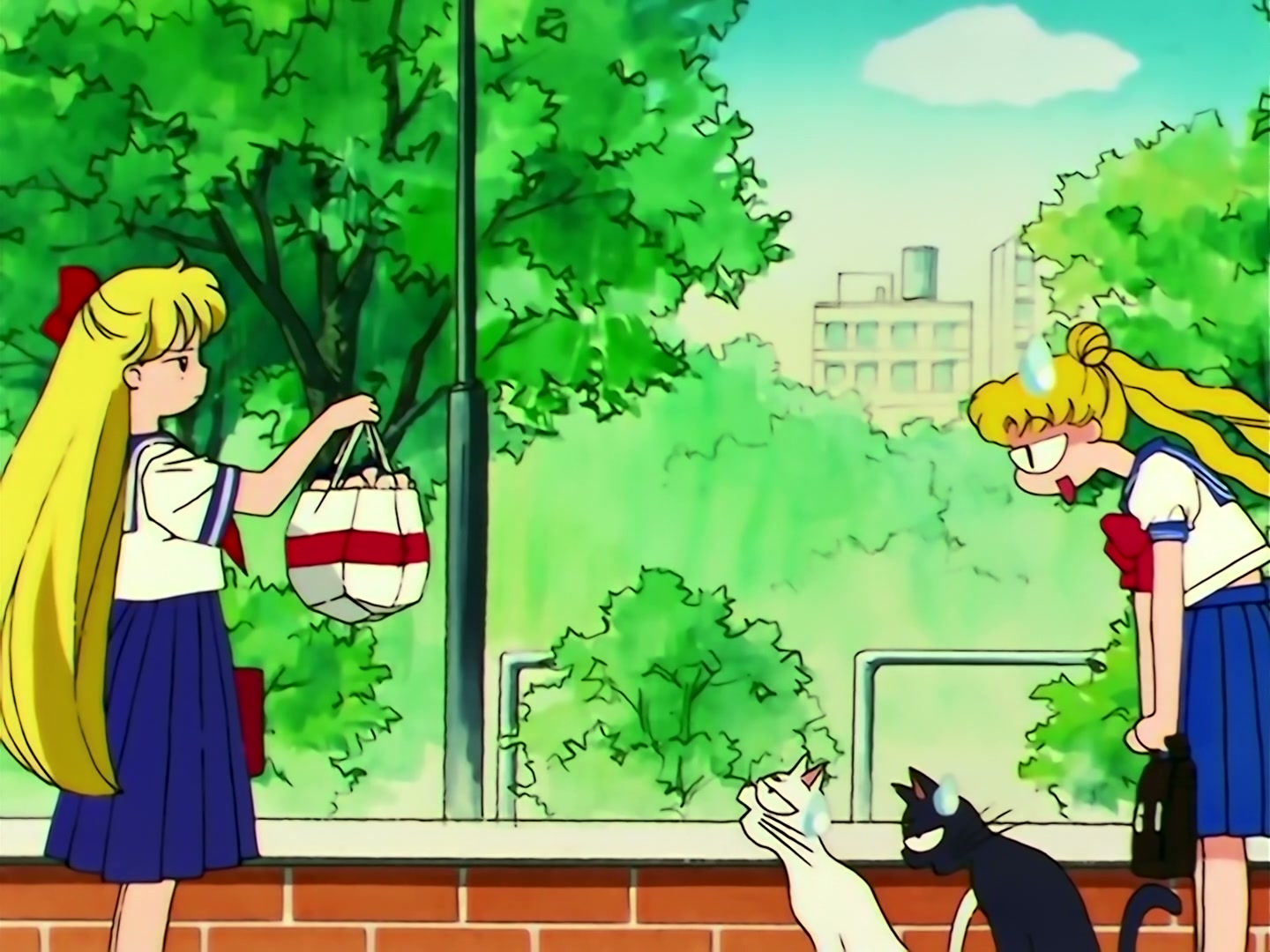 Sailor Moon Ep 109: The Shocking Moment: Everyone's Identities Revealed @ 00:08:17