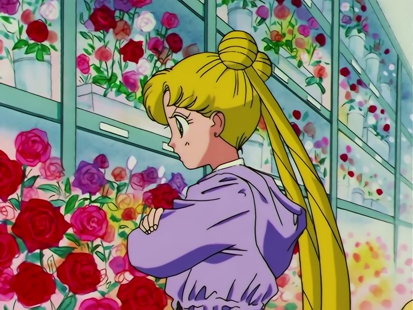 Sailor Moon Ep 116: The Forest of Illusion! A Beautiful Fairy's Invitation @ 00:11:49