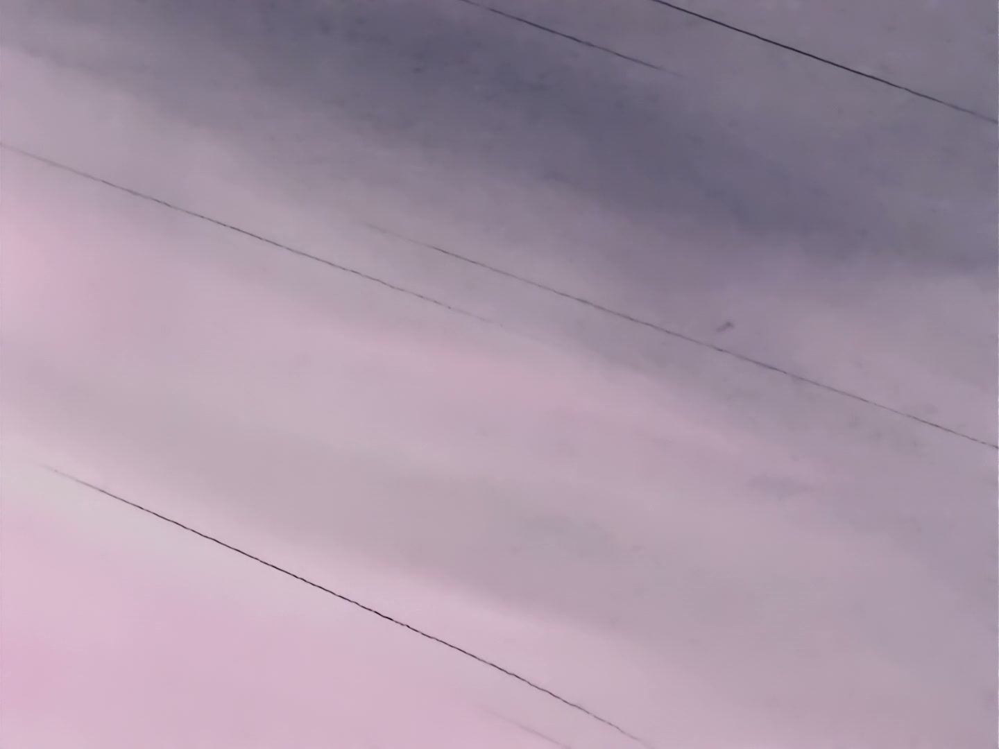 Sailor Moon Ep 116: The Forest of Illusion! A Beautiful Fairy's Invitation @ 00:12:24