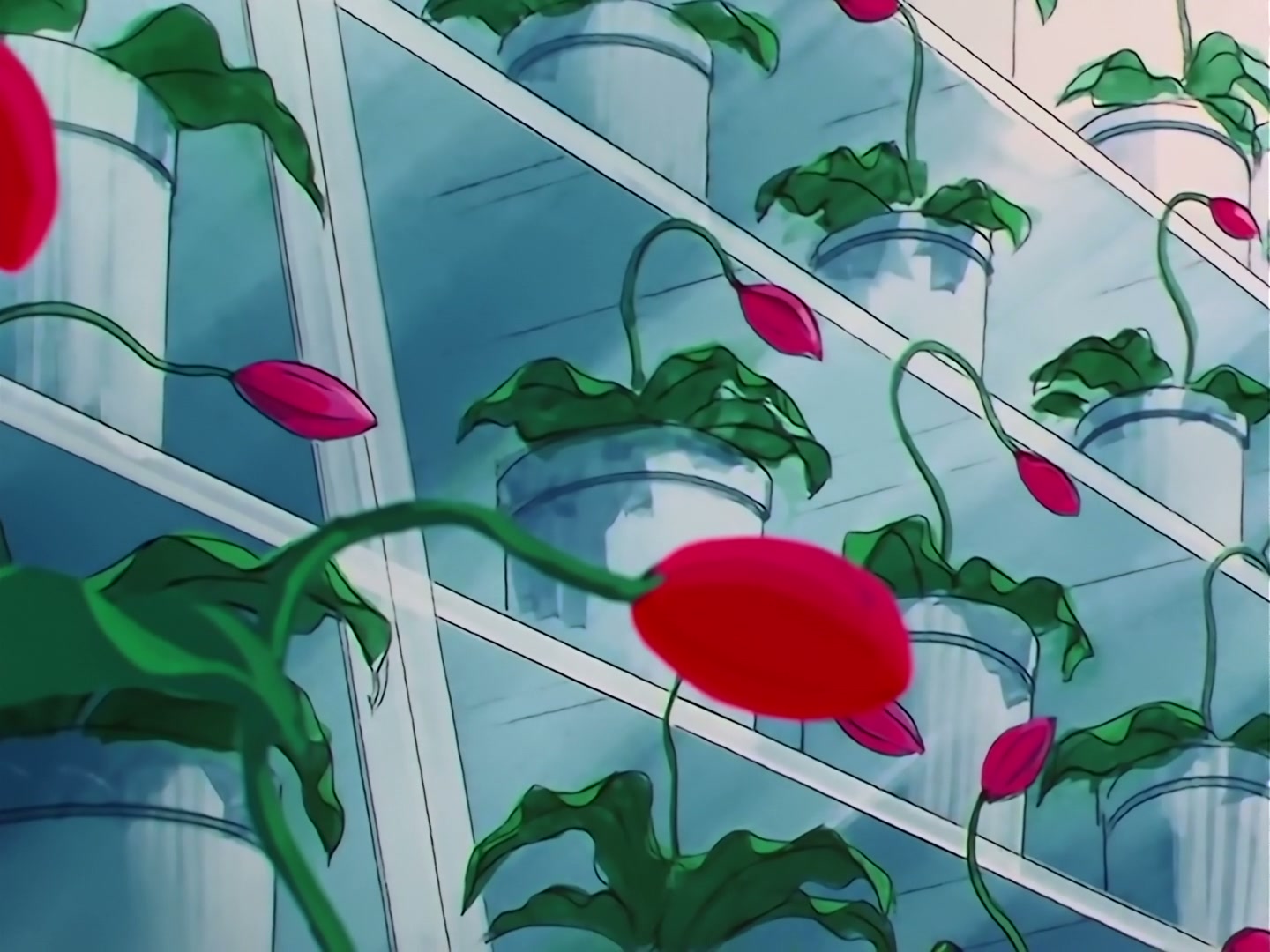 Sailor Moon Ep 121: A Heart-Snatching Demon Flower: Tellu, the Third Witch @ 00:06:50