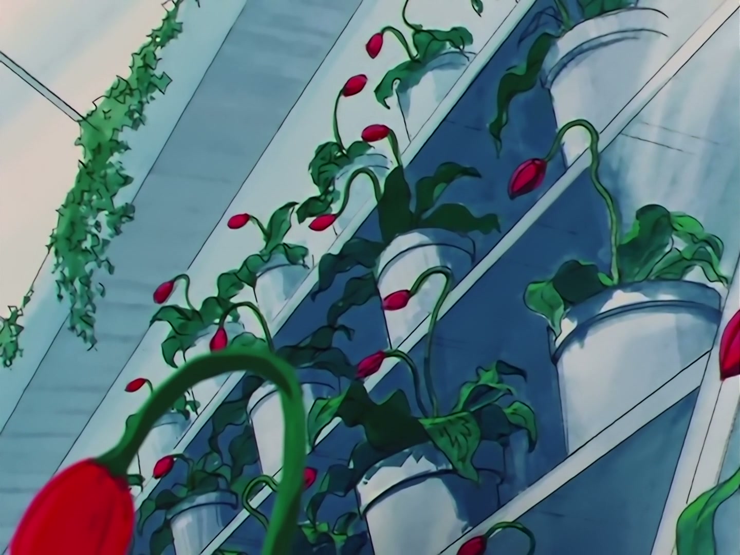 Sailor Moon Ep 121: A Heart-Snatching Demon Flower: Tellu, the Third Witch @ 00:06:54