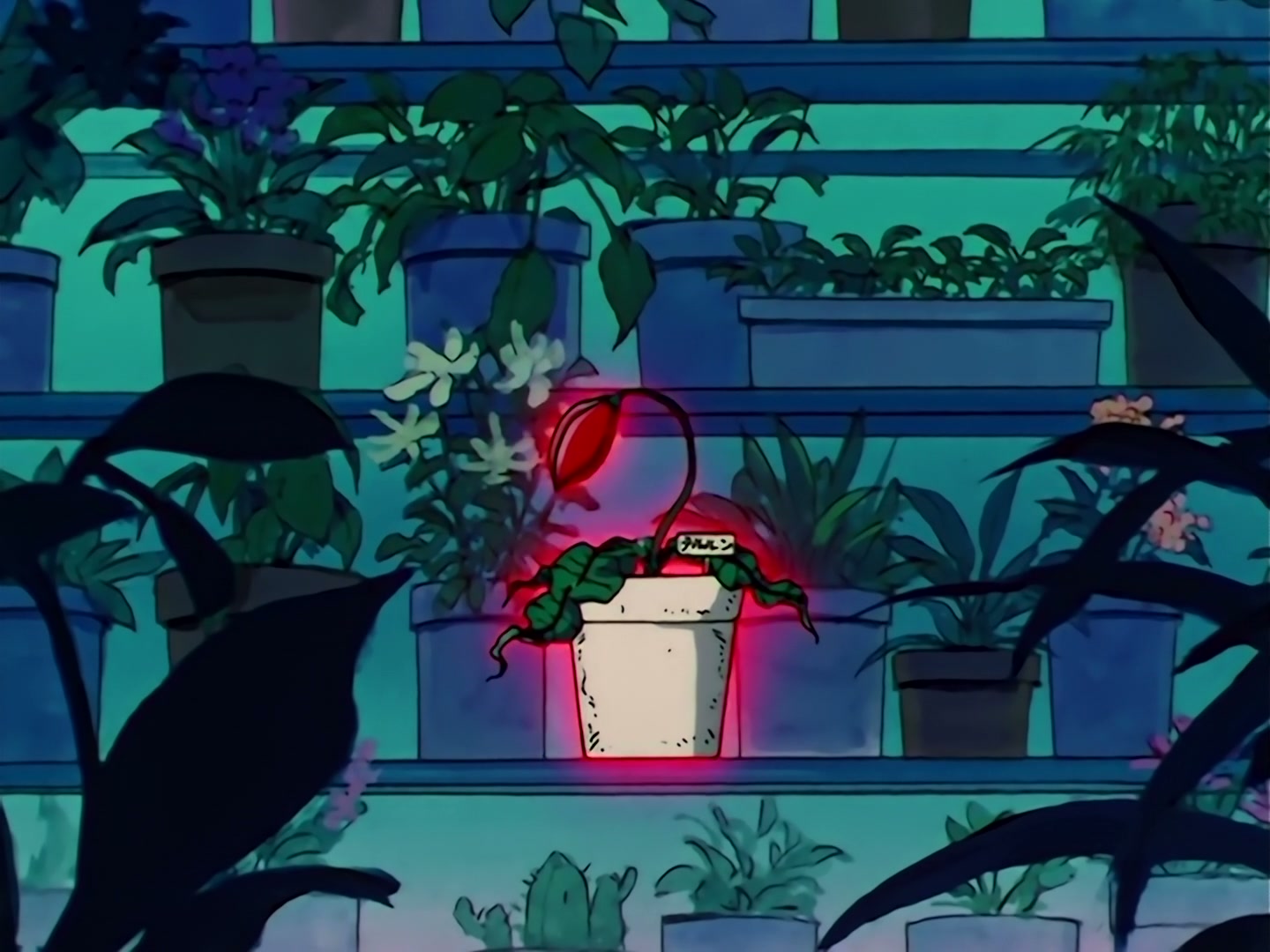 Sailor Moon Ep 121: A Heart-Snatching Demon Flower: Tellu, the Third Witch @ 00:07:25