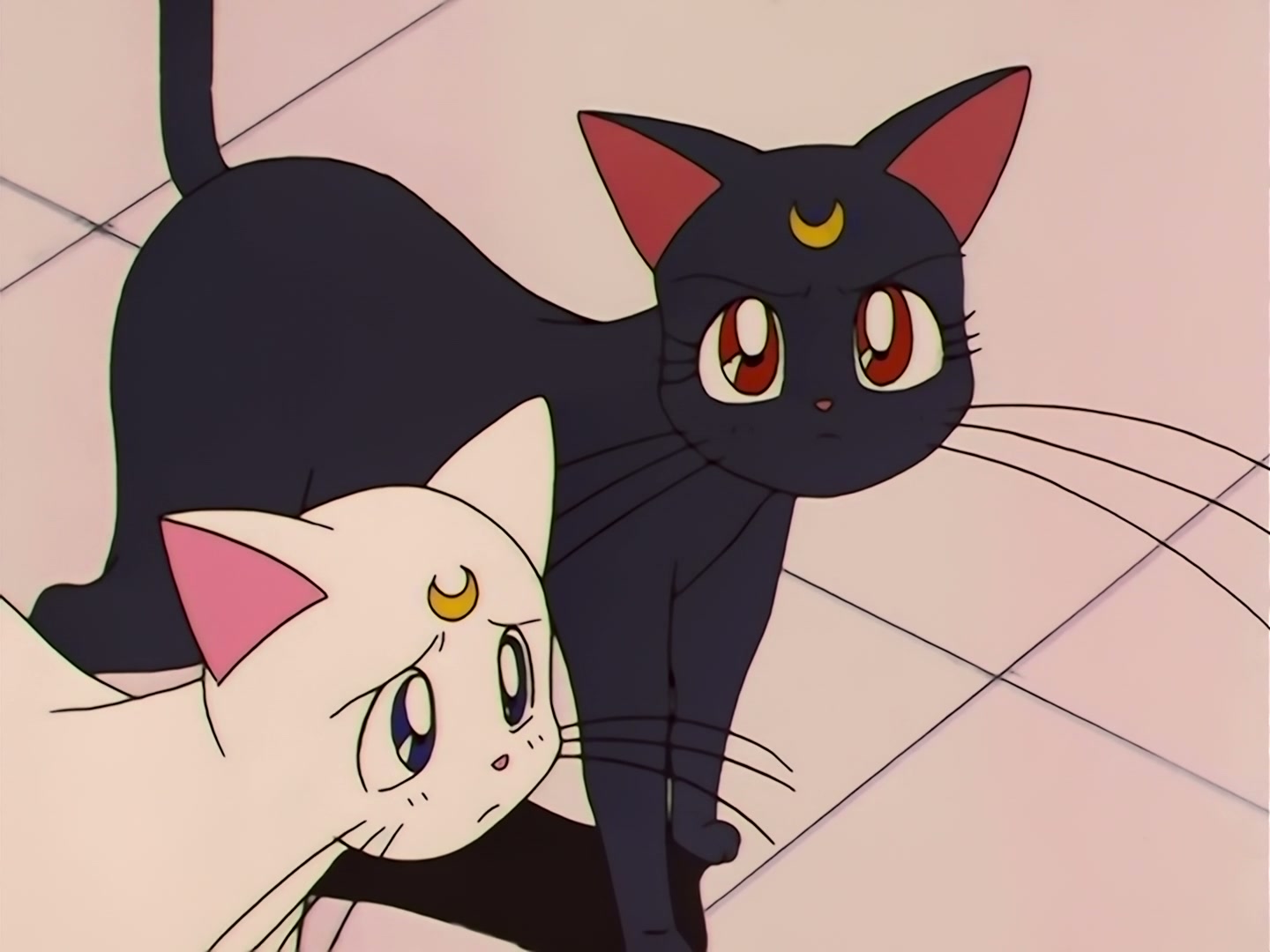 Sailor Moon Ep 121: A Heart-Snatching Demon Flower: Tellu, the Third Witch @ 00:07:59