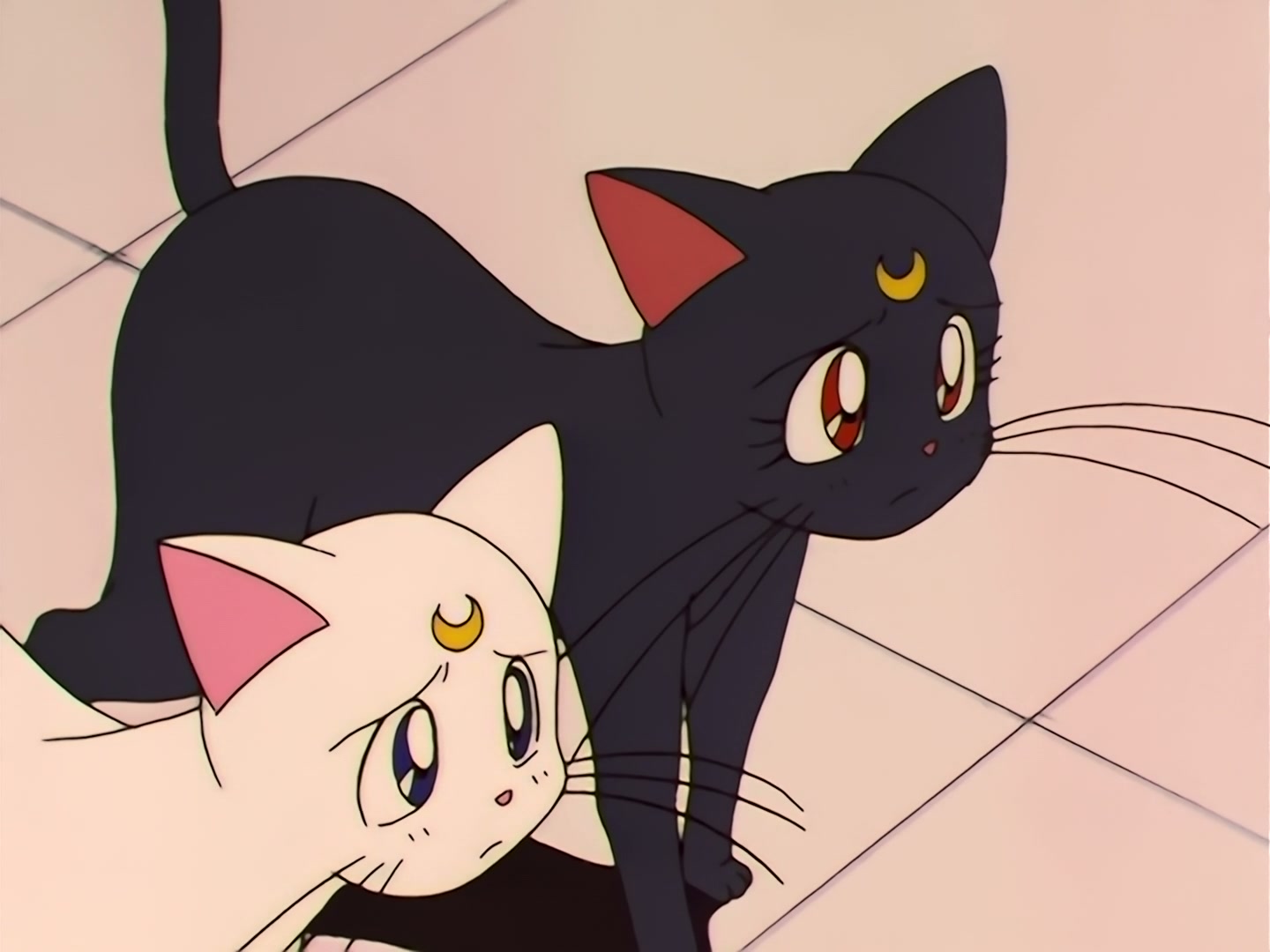 Sailor Moon Ep 121: A Heart-Snatching Demon Flower: Tellu, the Third Witch @ 00:08:17