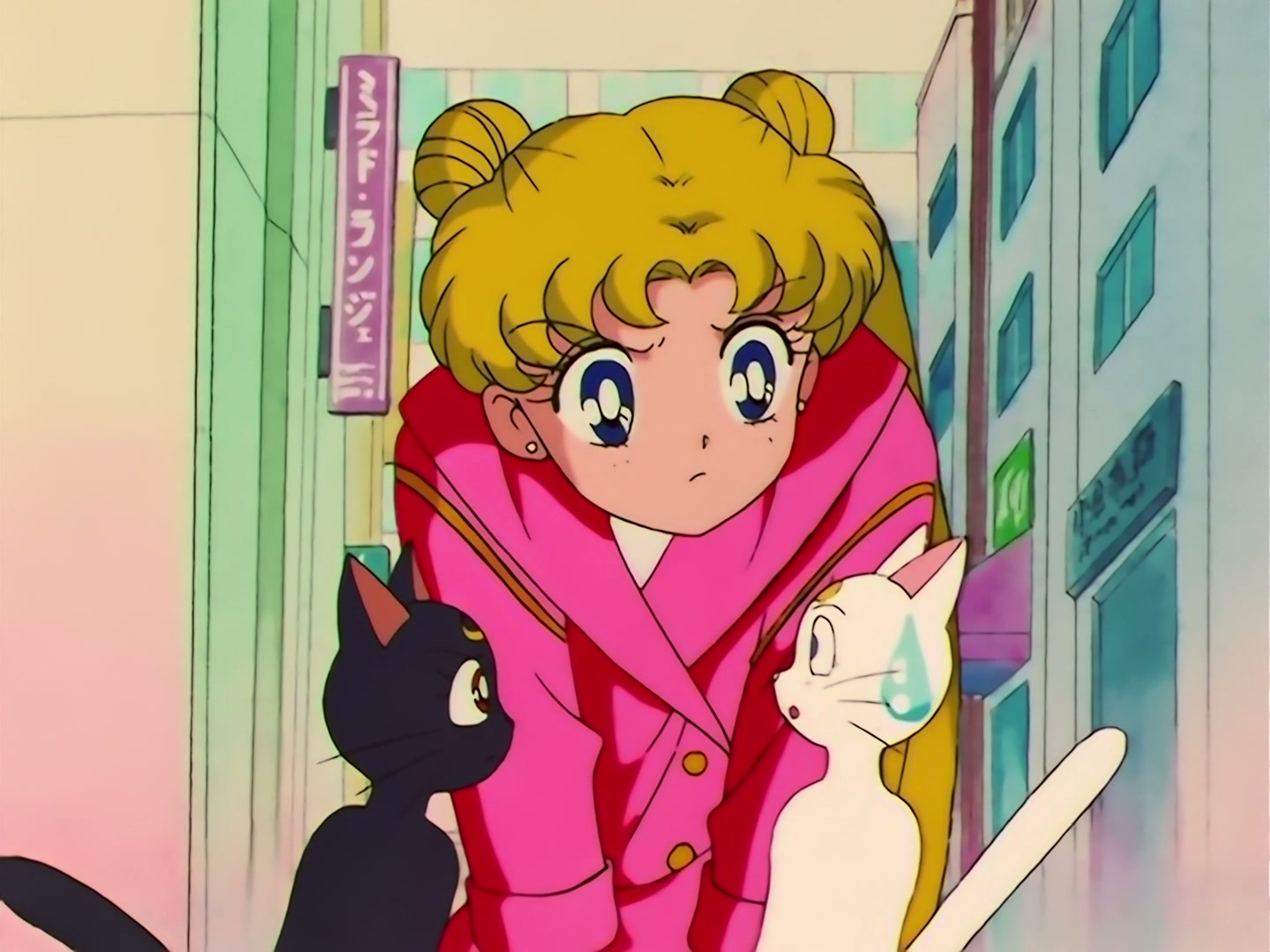 Sailor Moon Ep 121: A Heart-Snatching Demon Flower: Tellu, the Third Witch @ 00:08:43