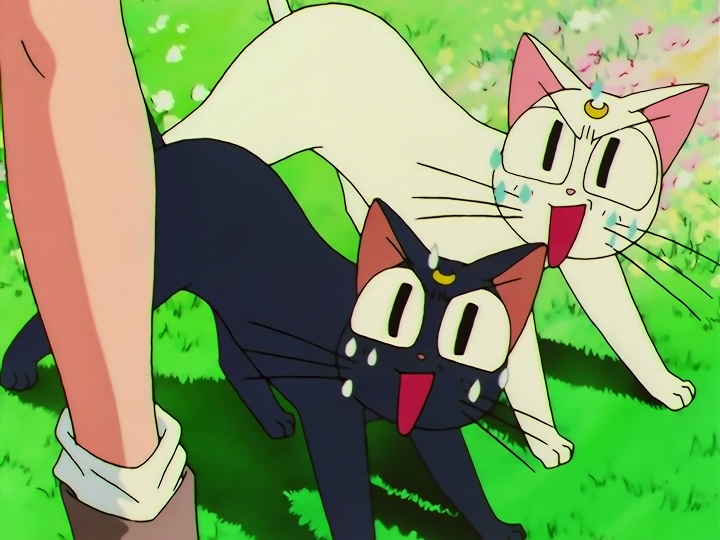 Sailor Moon Ep 128: Meeting of Destiny: The Night Pegasus Dances @ 00:06:21