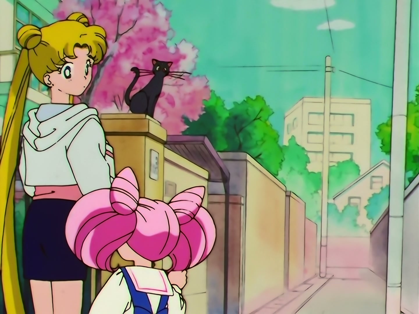 Sailor Moon Ep 133: Artemis is Cheating? Enter the Mysterious Kitten @ 00:03:59